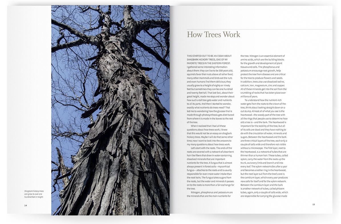 Photo of Seeing the Sourlands